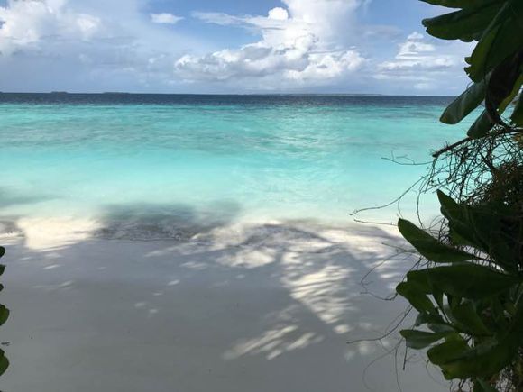 阿雅达AYADA